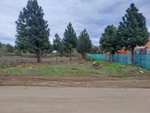 Terreno en Venta de 600,0 m2