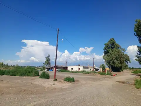 VENTA LOTE RUTA 40 – JOCOLÍ- LAVALLE- MENDOZA