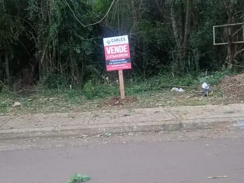 Av. Carlos Bosetti