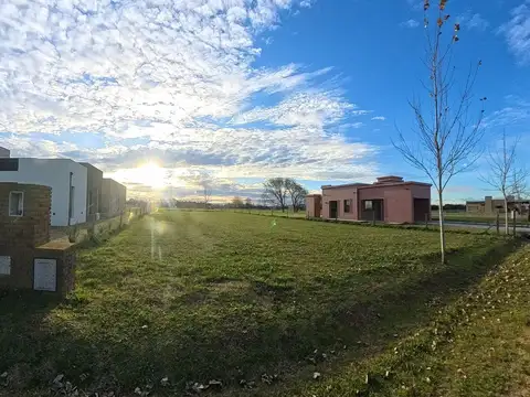 Ruta 205 - La Federala