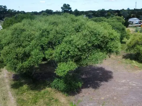 Terreno en Venta en General Juan Madariaga, USD 29.000