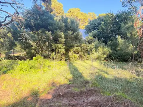 Terreno en Venta de 880,0 m2