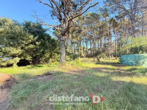 Terreno - Venta - Argentina, Pinamar