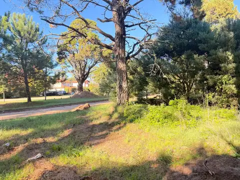 Terreno - Venta - Argentina, Pinamar