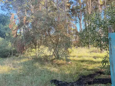 Terreno - Venta - Argentina, Pinamar