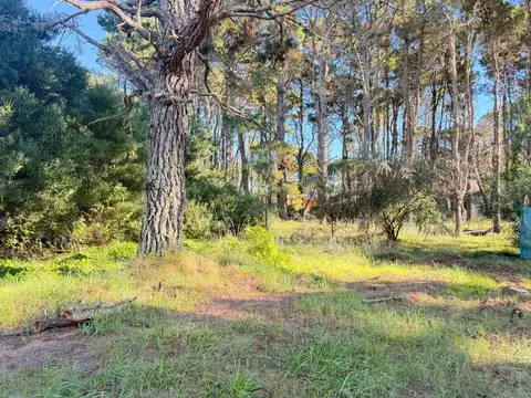 Terreno en Venta en Pinamar, USD 98.000