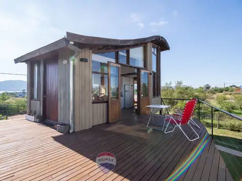 eucaliptus y jacarandas 100