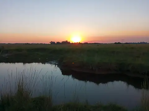 Terreno / Lote en venta de 300m2 ubicado en Domselaar