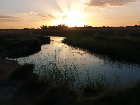 Estancias de Domselaar,