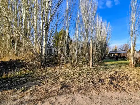 Terreno en Venta en Plottier, Confluencia
