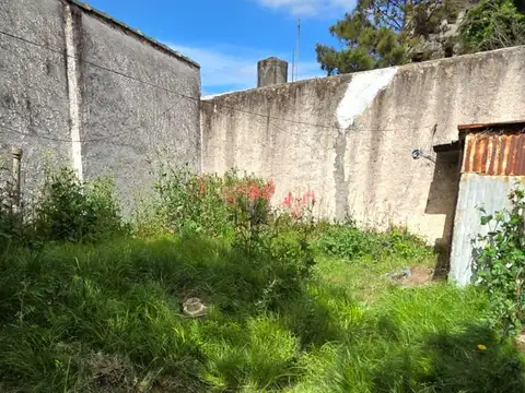 Tacuarí 500