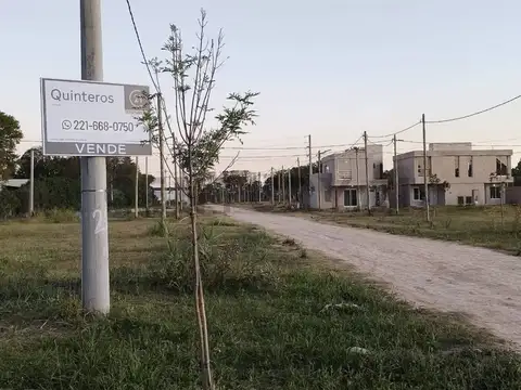 604 y 6 bis 100, Piso 0