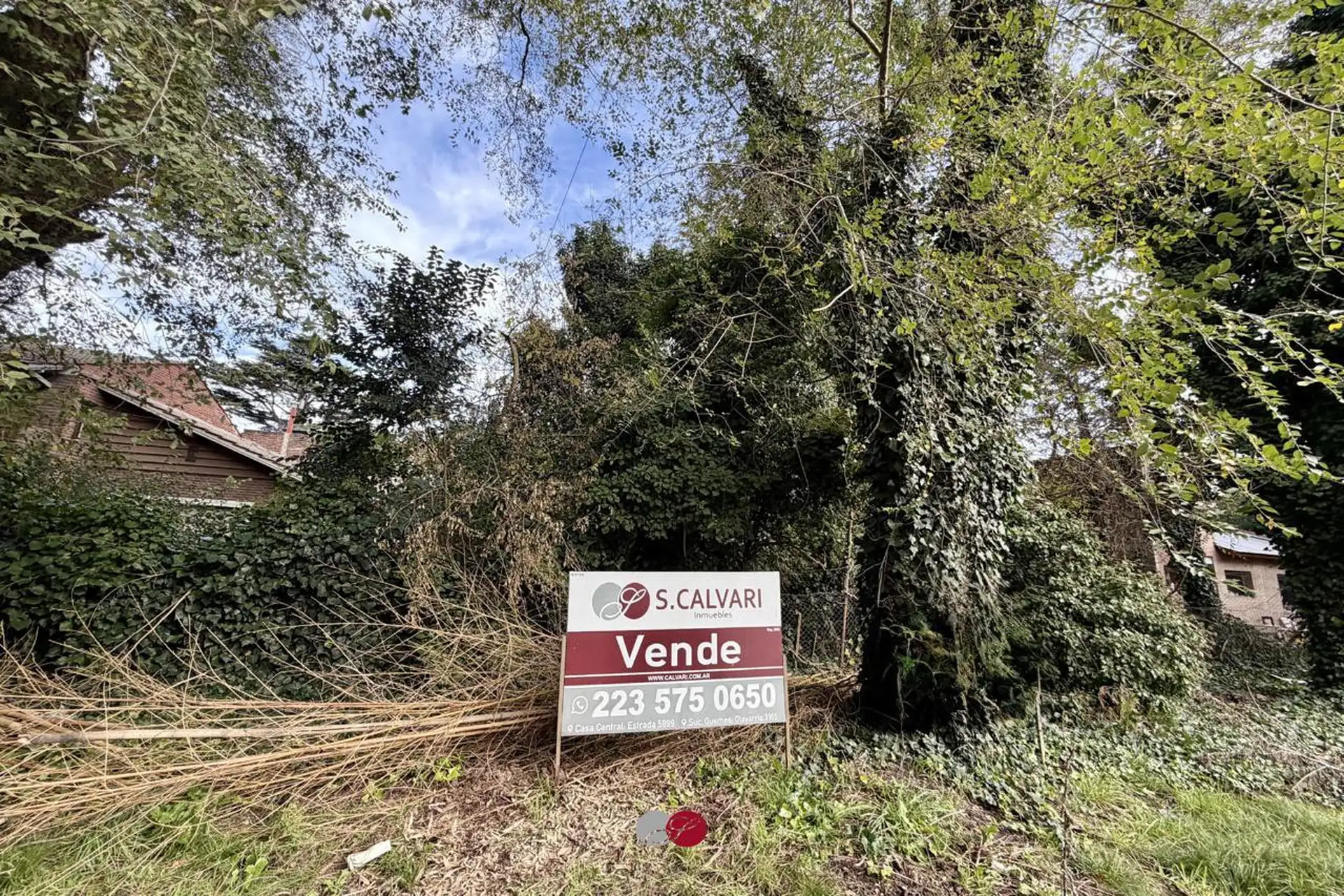 Terreno en Montemar