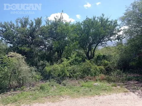 Terreno en Venta de 1100,0 m2