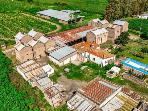 CAMPO VENTA 23 HECTAREAS RP 21 CERRILLOS