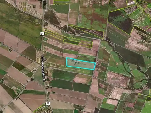 CAMPO VENTA 23 HECTAREAS RP 21 CERRILLOS
