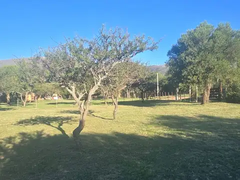 Terreno en Venta en Cortaderas, USD 22.000