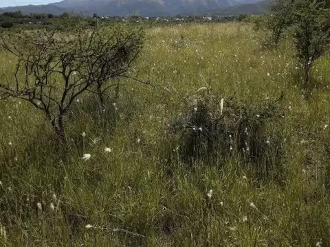 1 hectárea en Capilla del Monte 
