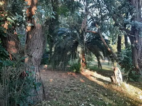 Ruta Nacional 8 75