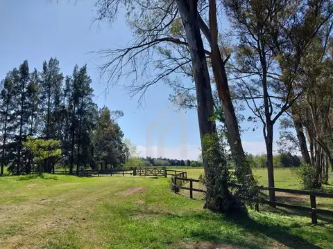 Terreno Lote en Venta Chacras del Parana, Lima, Zárate, G.B.A. Zona Norte