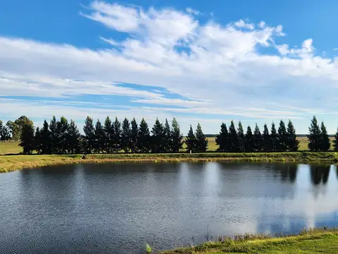 Casa en Venta al Este