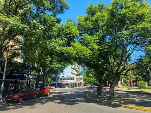 Jacarandaes 6100