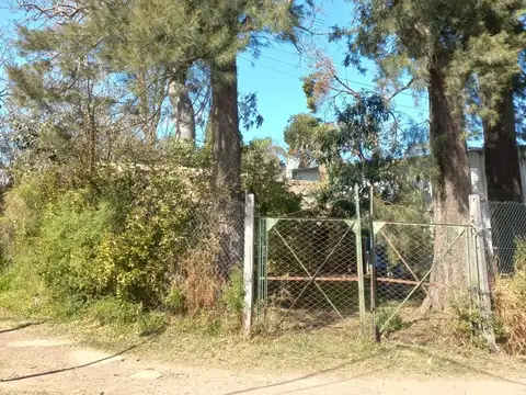 Terreno en Alquiler 10  mts Frente