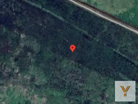 Campo en venta - 93.023 mts2 - Isla de Zarate, Rio Pasaje Talavera