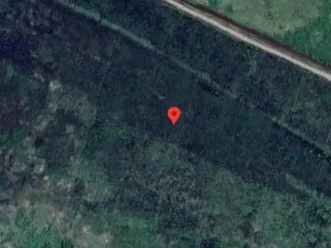 Campo en venta - 93.023 mts2 - Isla de Zarate, Rio Pasaje Talavera