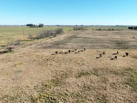 Campo en Venta con Alambrado