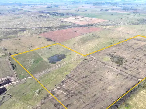 Campo en Venta de 80  ha