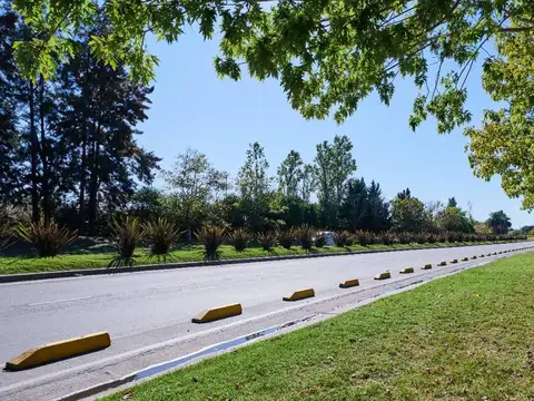 Lote | Terreno en  venta en  barrio Casuarinas - Nordelta