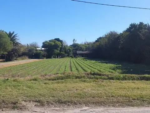 VENTA TERRENO SOBRE CAMINO SAN CARLOS 