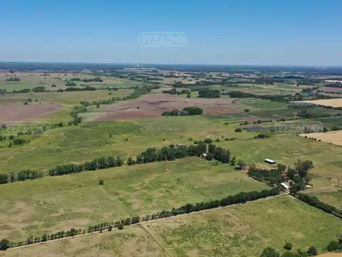 Terreno en Venta de 785,0 m2