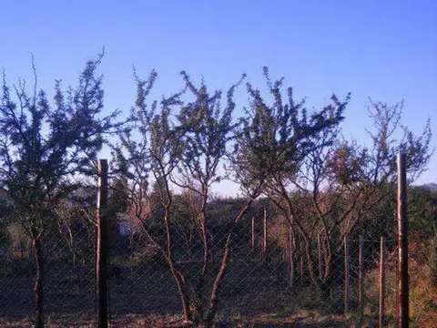 Terreno en Venta de 400,0 m2