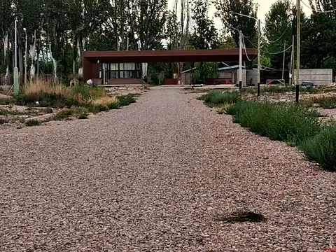 Terreno en Venta en Lujan De Cuyo, USD 35.000