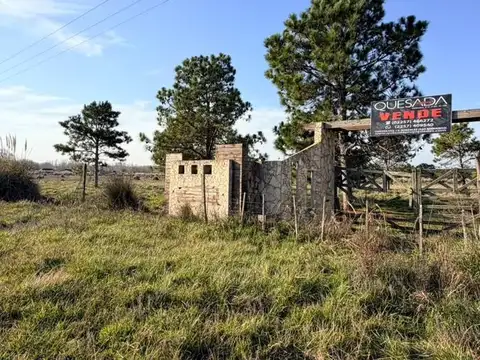 Ruta 11 km 336