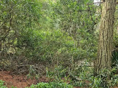 Terreno en Venta en Mar de las Pampas, USD 65.000