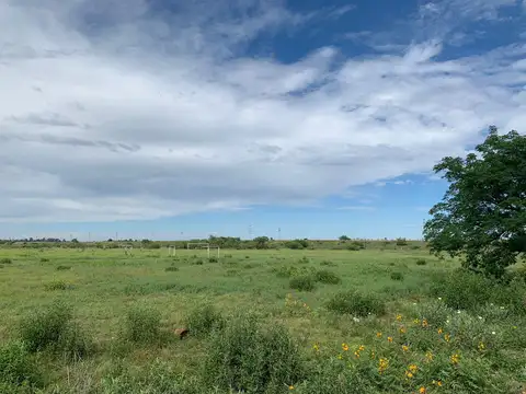 Terreno en Venta de 12000,0 m2