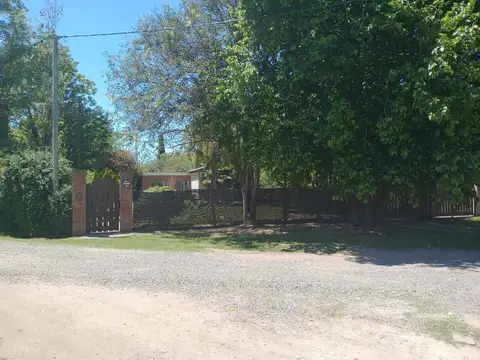 San Lorenzo al 100