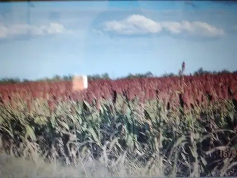 Campo en San Jeronimo Del Sauce