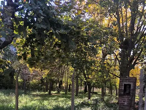 Terreno en Venta en Dique Lujan, USD 850.000