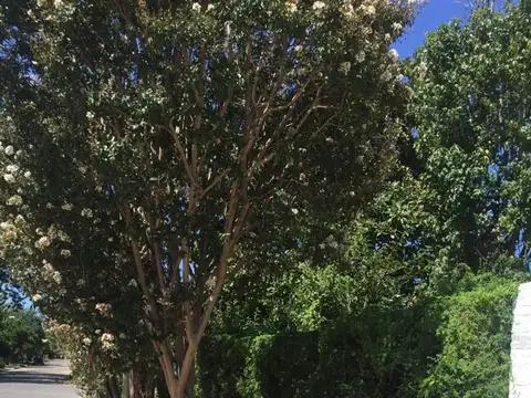 Terreno en Venta de 305,0 m2