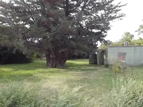 Quinta en Venta en Tandil, USD 53.000