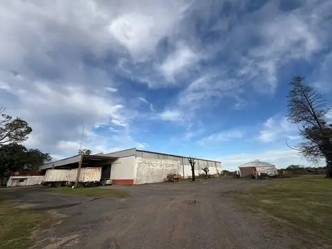 Francisco Angeloni 1300