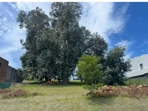 Terreno en Venta en Barrancas De San Benito, USD 50.500