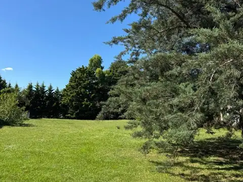 Terreno en Venta en Virrey del Pino, USD 50.000