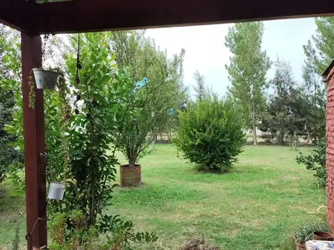 chañar 100
