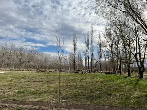 Terreno en Venta de 1062,0 m2