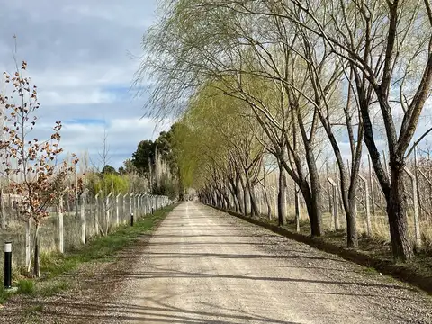Terreno en Venta en General Roca, Río Negro